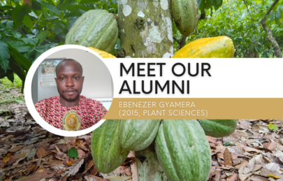 An image of cocoa beans, with a white circle frame showing Ebenezer, the alumnus of the article. The text reads 'Meet our alumni. Ebenezer Gyamera (2015, plant sciences)